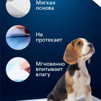 Впитывающие пелёнки для животных &laquo;ПИЖОН&raquo;, 60&times;60 см, гелевые, набор 5 шт.