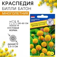 Семена цветов Краспедия шаровидная &laquo;Билли Батон&raquo;, 10 шт.