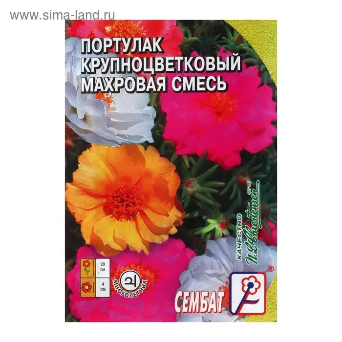 Семена цветов Портулак Крупноцветковый махровая смесь 0,05 г Семена цветов Портулак Крупноцветковый махровая смесь 0,05 г
