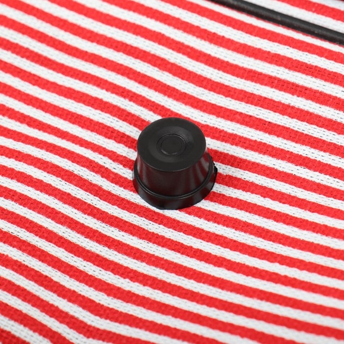 Сумка-переноска с органайзером в полоску, размер L, 47 х 27 х 23 см Сумка-переноска с органайзером в полоску, размер L, 47 х 27 х 23 см