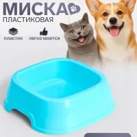 Миска, 700 мл, квадратная, пластик, голубая