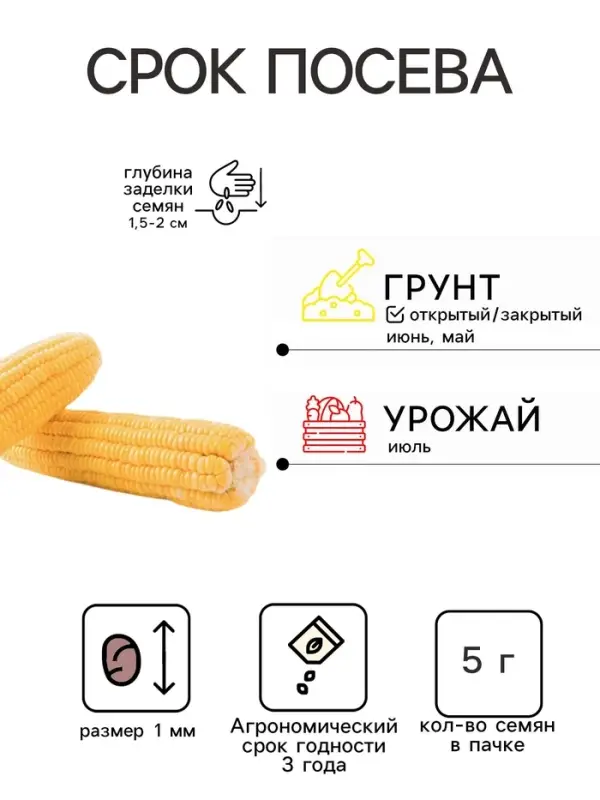 Семена Кукуруза &laquo;Сахарный Гигант&raquo;, 5 г, &laquo;Уральский Дачник&raquo;