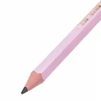 Карандаши чернографитные BIC HB Evolution &laquo;Пастель&raquo;, набор 5 штук, пластиковые