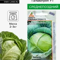 Семена Капуста белокочанная, &laquo;Гальватрон&raquo;, F1, 15 шт., Seminis, &laquo;Агрос&raquo;