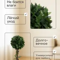 Дерево искусственное &laquo;Бонсай&raquo;, h=70 см, шар d=25 см