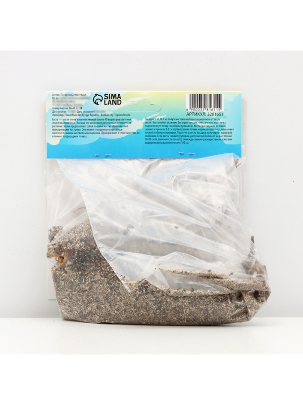 Хоста «Абиква Дринкинг Гурд», корневище в пакете с торфогрунтом, р-р I, 1 шт.