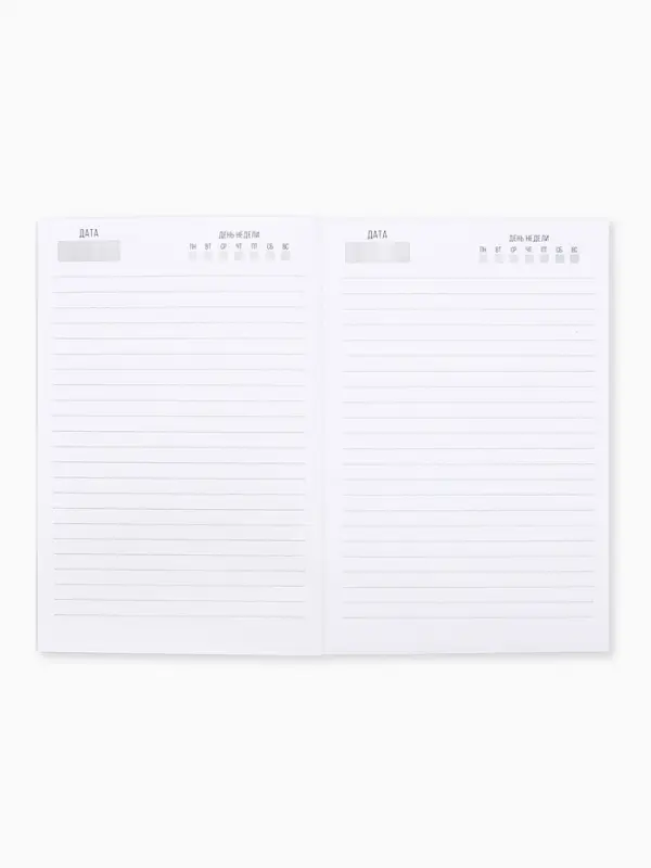 Ежедневник А5, 80 листов в тонкой обложке &laquo;Склерозница&raquo;