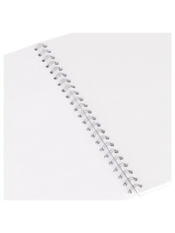 Альбом д/рис А4 48л греб Акварельный мир, обл мел карт, бл офс 100г/м2, МИКС