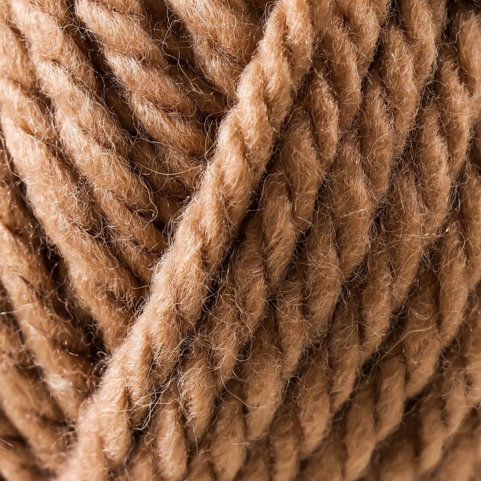 Пряжа для вязания спицами, крючком «Пехорский текстиль. Осенняя», 25% шерсть, 75% ПАН, 150 м/200г, (412 верблюжий) Пряжа для вязания спицами, крючком «Пехорский текстиль. Осенняя», 25% шерсть, 75% ПАН, 150 м/200г, (412 верблюжий)