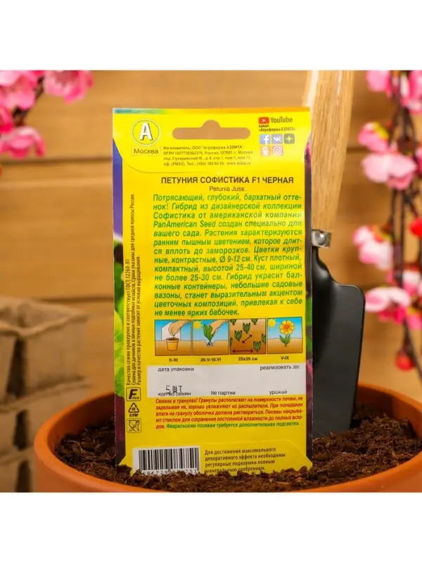 Набор семян Петуния Софистика черная F1 крупноцветковая, 4 шт., 2 шт. Набор семян Петуния Софистика черная F1 крупноцветковая, 4 шт., 2 шт.