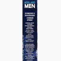 Подарочный набор мужской Norland Men Ice Freshness: гель для душа 250 мл + шампунь 250 мл