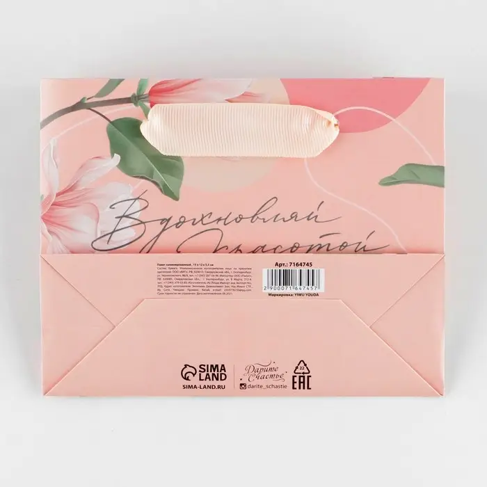 Пакет подарочный ламинированный, упаковка, «Вдохновляй», S 12 х 15 х 5.5 см Пакет подарочный ламинированный, упаковка, «Вдохновляй», S 12 х 15 х 5.5 см