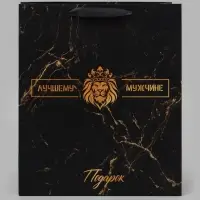 Пакет подарочный вертикальный &laquo;Лучшему мужчине&raquo;, ML 23&times;27&times;11.5 см