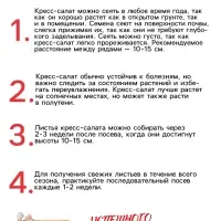 Семена шпинат &laquo;Жирнолистный&raquo;, 3 г, &laquo;Рецепты дедушки Никиты&raquo;