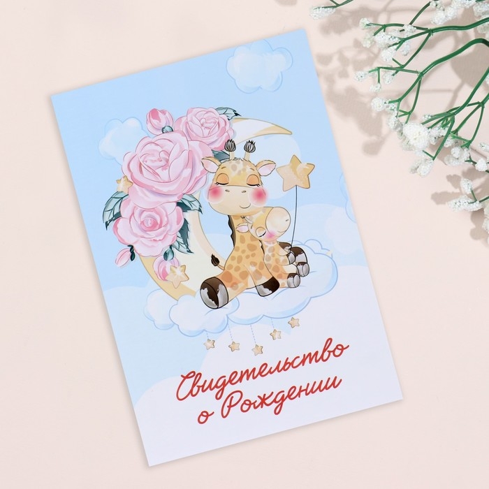 Папка под свидетельство о рождении «Жирафики», А5 Папка под свидетельство о рождении «Жирафики», А5