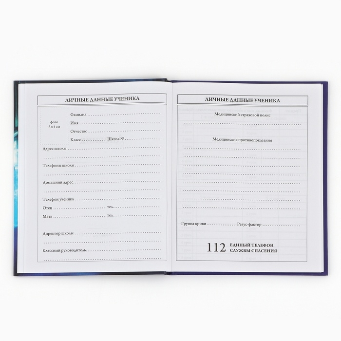 Дневник школьный для 1-4 класса, в твердой обложке, 48 л Street racing