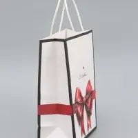 Пакет подарочный крафтовый &laquo;С любовью&raquo; 15&times;21&times;8 см, 120 г/м&sup2;