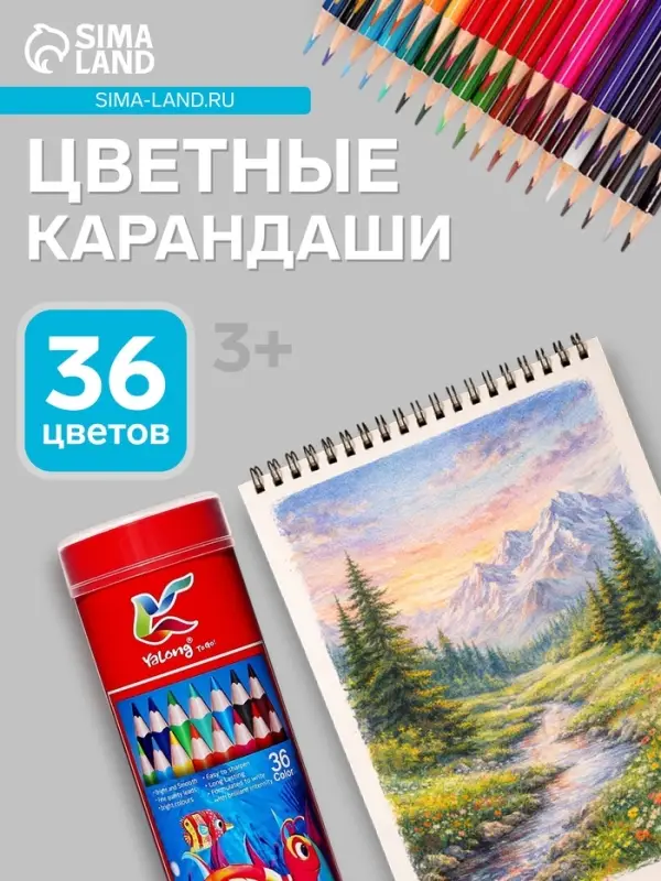 Карандаши 36 цветов, трехгранные, деревянные &laquo;Морские обитатели&raquo;, в металлическом тубусе