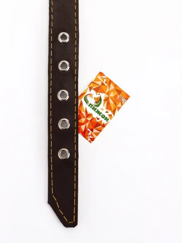 Ошейник однослойный Ошейник однослойный "Красотка", 2.5 см, тиснение фольгой, микс цветов