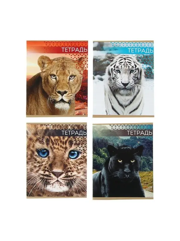 Тетрадь 48 листов в линейку Calligrata &laquo;Дикие кошки&raquo;, обложка мелованная бумага, блок №2, МИКС