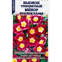 Семена Вьюнок Минор Красное пламя /Сотка/ 0,5г/ трехцветн. h-20-30см d-4-6см /*900