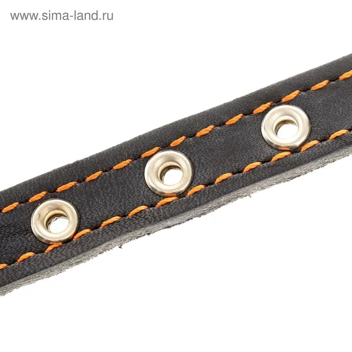 Ошейник кожаный на синтепоне, безразмерный, 37&times;1.5 см, ОШ 21-31 см, синий