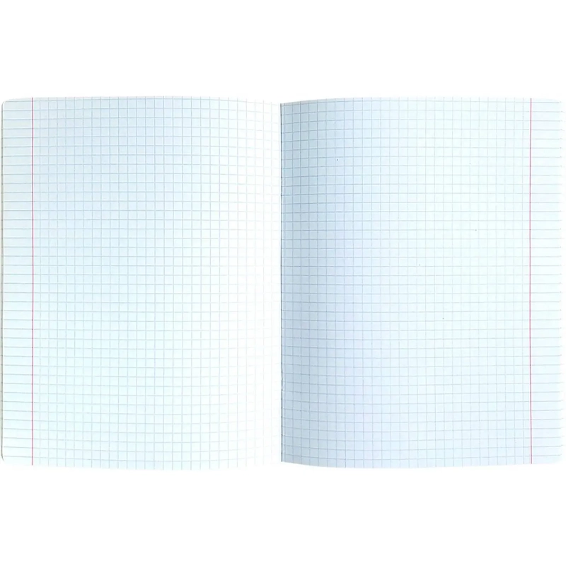 Тетрадь общая А5 48л.клетка,скрепка,Be SmartNotesN3626