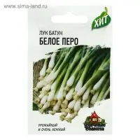 Семена Лук на зелень "Белое перо", ц/п,  0,5 г  серия ХИТ х3 Семена Лук на зелень "Белое перо", ц/п,  0,5 г  серия ХИТ х3