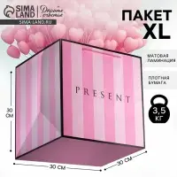 Пакет подарочный квадратный, упаковка, &laquo;Present&raquo;, 30&times;30&times;30 см