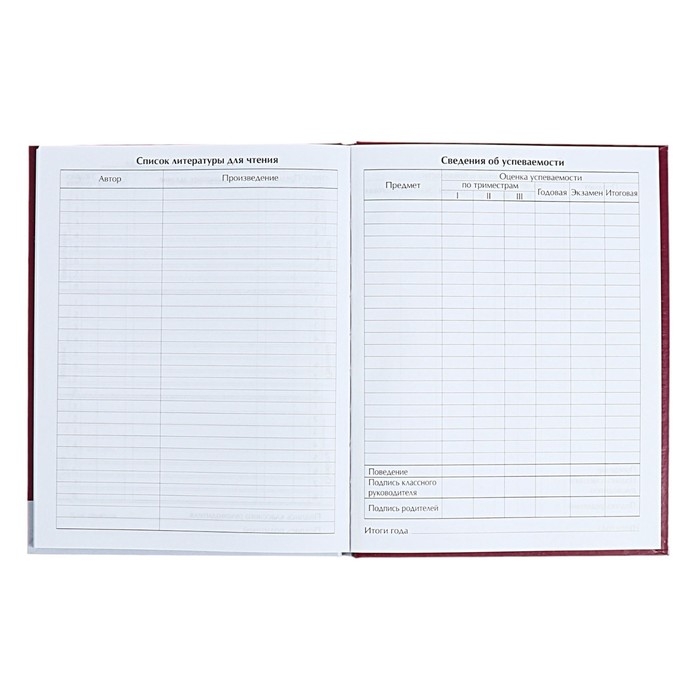 Дневник для 1-4 классов Дневник для 1-4 классов "Енотик", твёрдая обложка, глянцевая ламинация, 48 листов