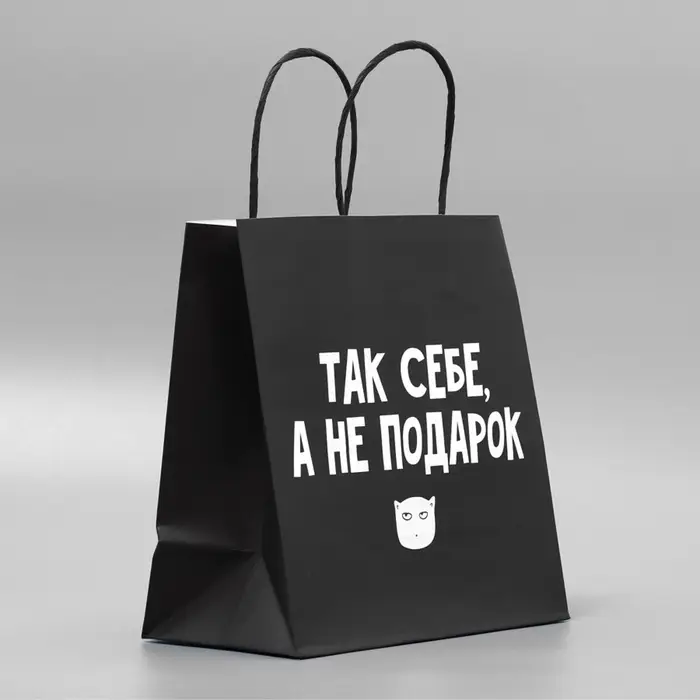 Пакет подарочный, упаковка, &laquo;Так себе, а не подарок&raquo;, 22&times;22&times;11 см