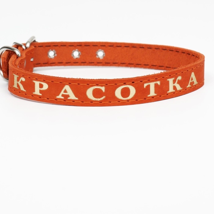 Ошейник кожаный однослойный, тиснёный «Красотка», 48 х 2 см, ОШ 32-43 см, микс цветов Ошейник кожаный однослойный, тиснёный «Красотка», 48 х 2 см, ОШ 32-43 см, микс цветов