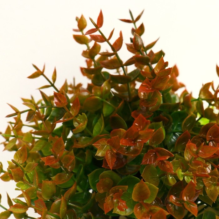 Бонсай в горшке "Мелкие листики" 11х16 см, микс