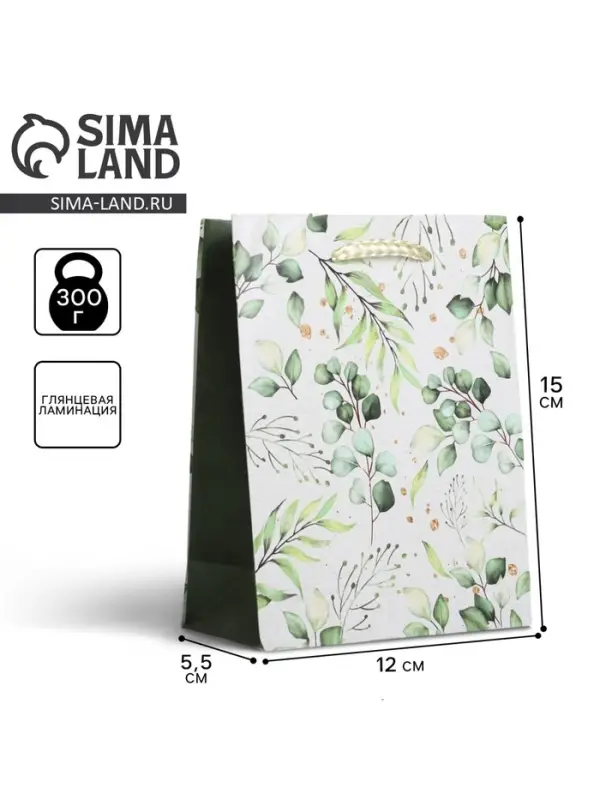 Пакет подарочный ламинированный, упаковка, Present for you, S 12 х 15 х 5.5 см