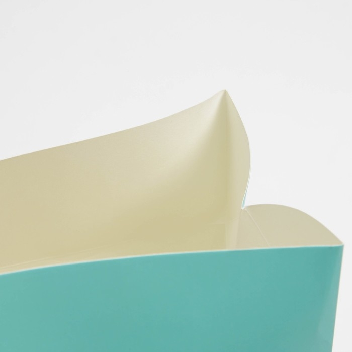 Пакет—коробка, подарочная упаковка, «Present», 23 х 18 х 11 см Пакет—коробка, подарочная упаковка, «Present», 23 х 18 х 11 см