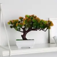 Бонсай в горшке «Хвойное дерево», 10.5×18 см, МИКС Бонсай в горшке «Хвойное дерево», 10.5×18 см, МИКС