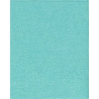 Салфетки хозяйственные Luscan Professional виск 90г/м2 30х38 5шт/уп зеленые