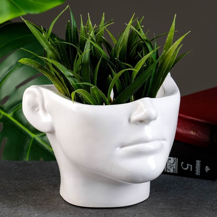 Кашпо - органайзер  Кашпо - органайзер "Эмили" белое, 13х18х16см