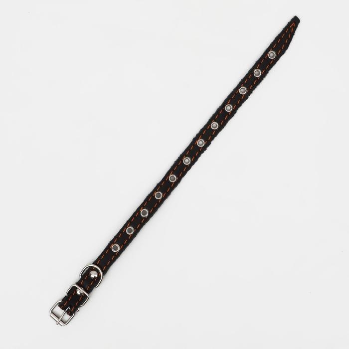 Ошейник кожаный однослойный, безразмерный, 37 х 1.5 см, ОШ 21-32 см, чёрный Ошейник кожаный однослойный, безразмерный, 37 х 1.5 см, ОШ 21-32 см, чёрный