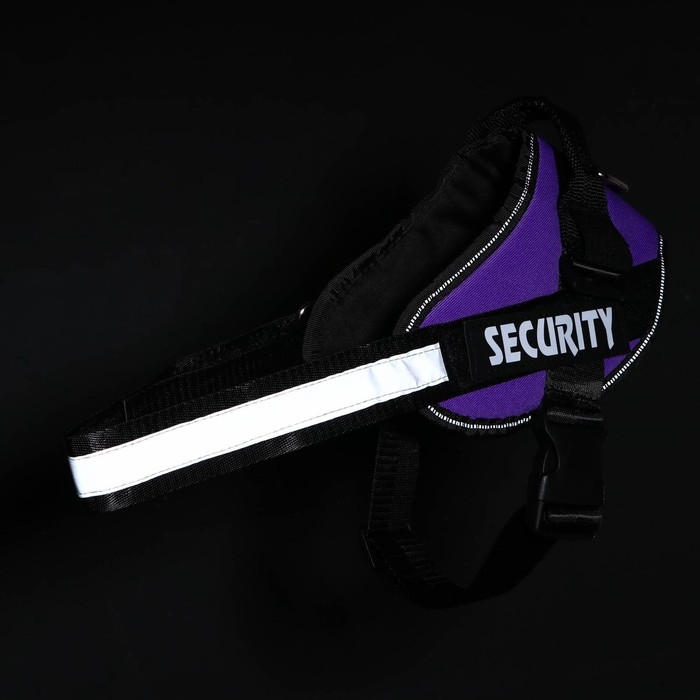 Шлейка К9 мягкая светоотражающая, размер M, ОГ 55-65 см, вес 11-20 кг, фиолетовая Шлейка К9 мягкая светоотражающая, размер M, ОГ 55-65 см, вес 11-20 кг, фиолетовая