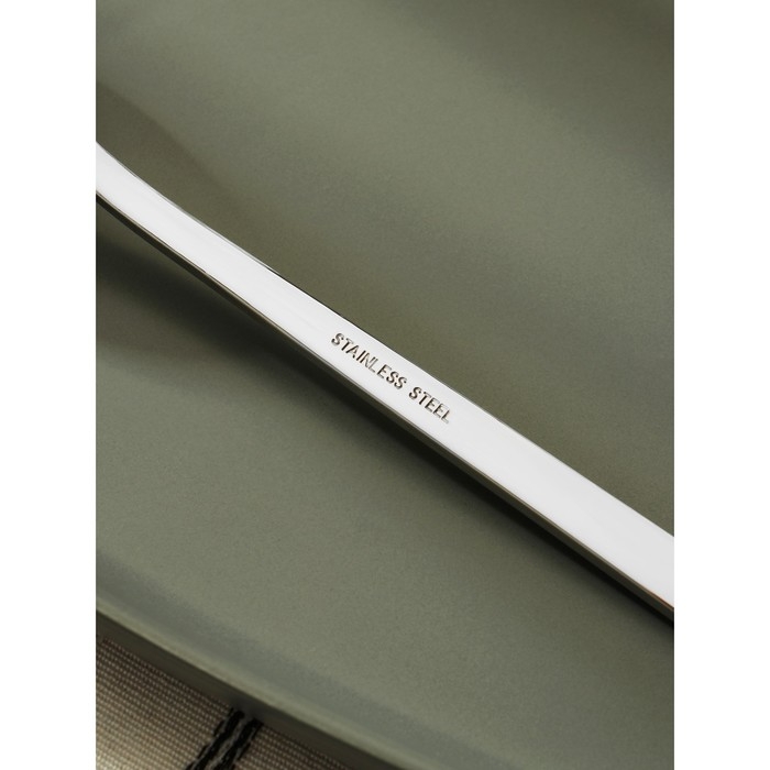 Ложка столовая из нержавеющей стали «Тайфун», длина 19 см, цвет серебряный Ложка столовая из нержавеющей стали «Тайфун», длина 19 см, цвет серебряный