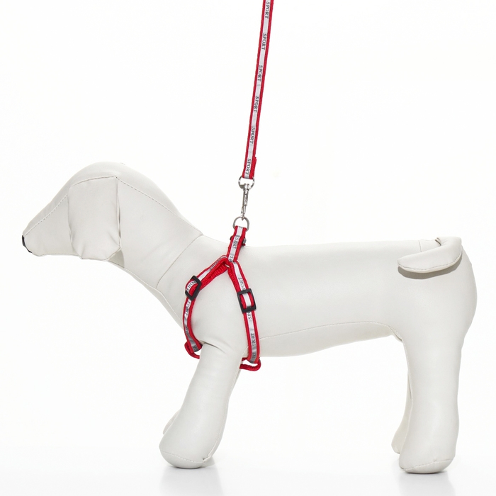 Комплект  Комплект "Спорт" светоотражающий, поводок 120 х 1 см, ОГ 23-35 см, красный