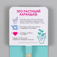 Растущие подарочные карандаши mini Обрети спокойствие "Мята"
