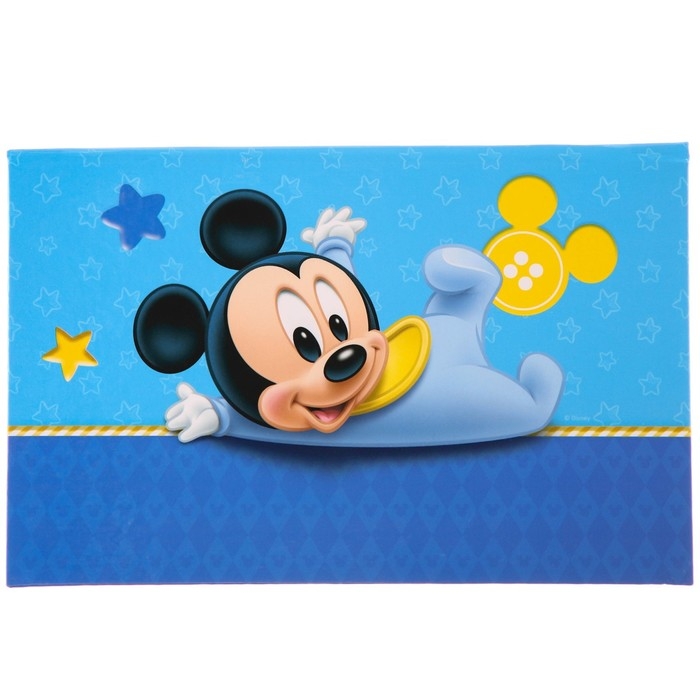 Обложка для документов набор Обложка для документов набор "Мои первые документы", Микки Маус, 21х30 см