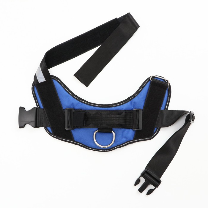 Шлейка К9 мягкая светоотражающая, размер L, ОГ 68-80 см, вес 17,5-32,5 см, синяя Шлейка К9 мягкая светоотражающая, размер L, ОГ 68-80 см, вес 17,5-32,5 см, синяя