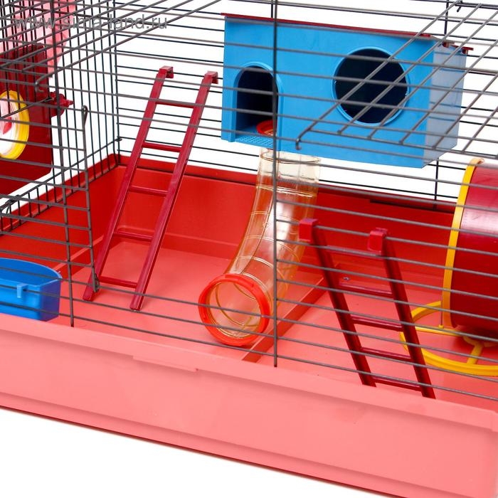 Клетка для грызунов Клетка для грызунов "Хома 4", 55 x 37 x 42 см, микс цветов