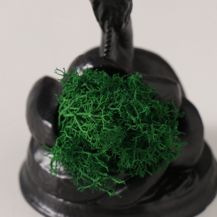 Сувенир  Сувенир "Змея Гликон" со мхом  6,5*8,5*3 см черная (мох зелен стабил)