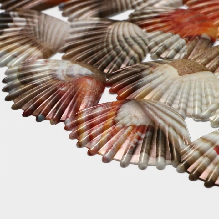 Решётка в раковину круглая Доляна «Ракушки», 28×28 см Решётка в раковину круглая Доляна «Ракушки», 28×28 см