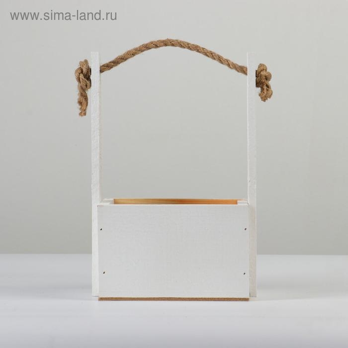 Кашпо деревянное, 15×12×8.5(25) см  Кашпо деревянное, 15×12×8.5(25) см "Пауль и Любовь. Орнамент №1", с принтом