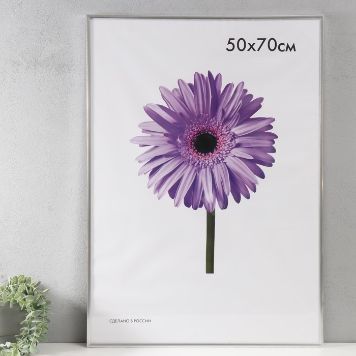 Фоторамка пластик Lida 50х70 см серебро (пластиковый экран) Фоторамка пластик Lida 50х70 см серебро (пластиковый экран)